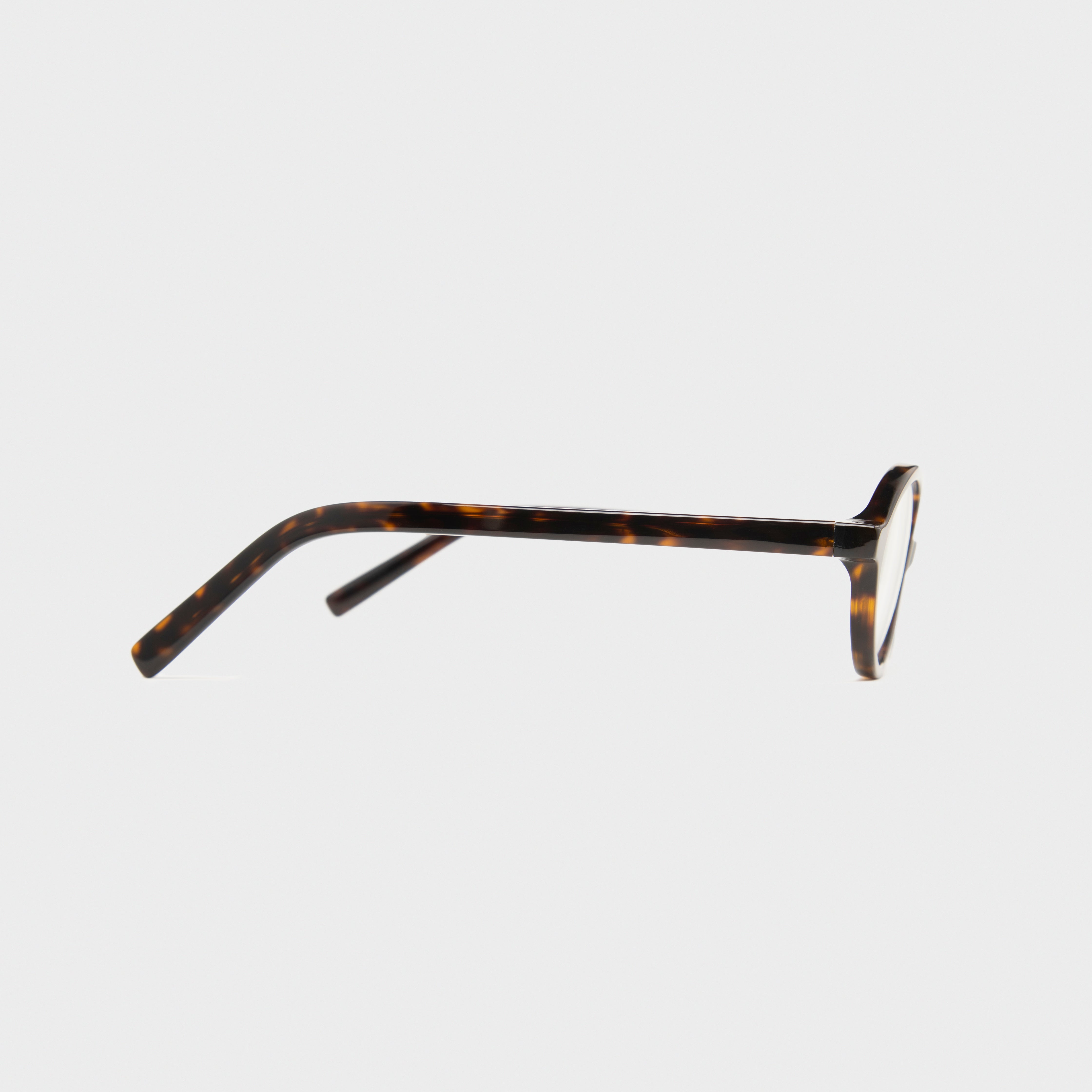 Blue Light - LA tortoiseshell